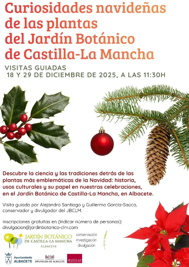 Curiosidades navideñas de las plantas del Jardín Botánico de Castilla-La Mancha