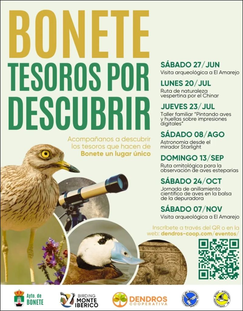 Bonete: Tesoros por Descubrir
