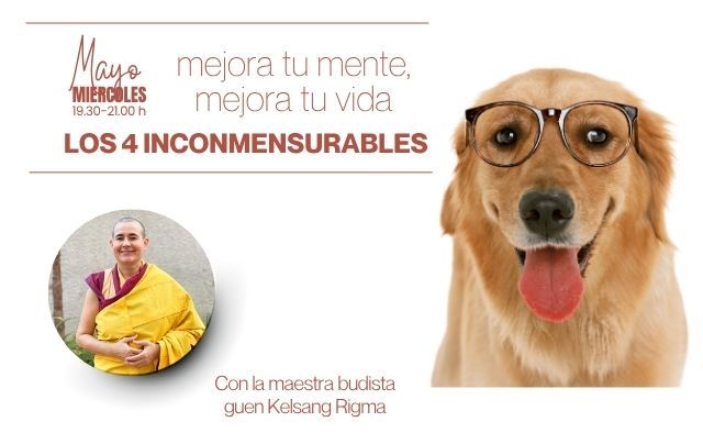 Ciclo de  mayo: Los 4 inconmensurables