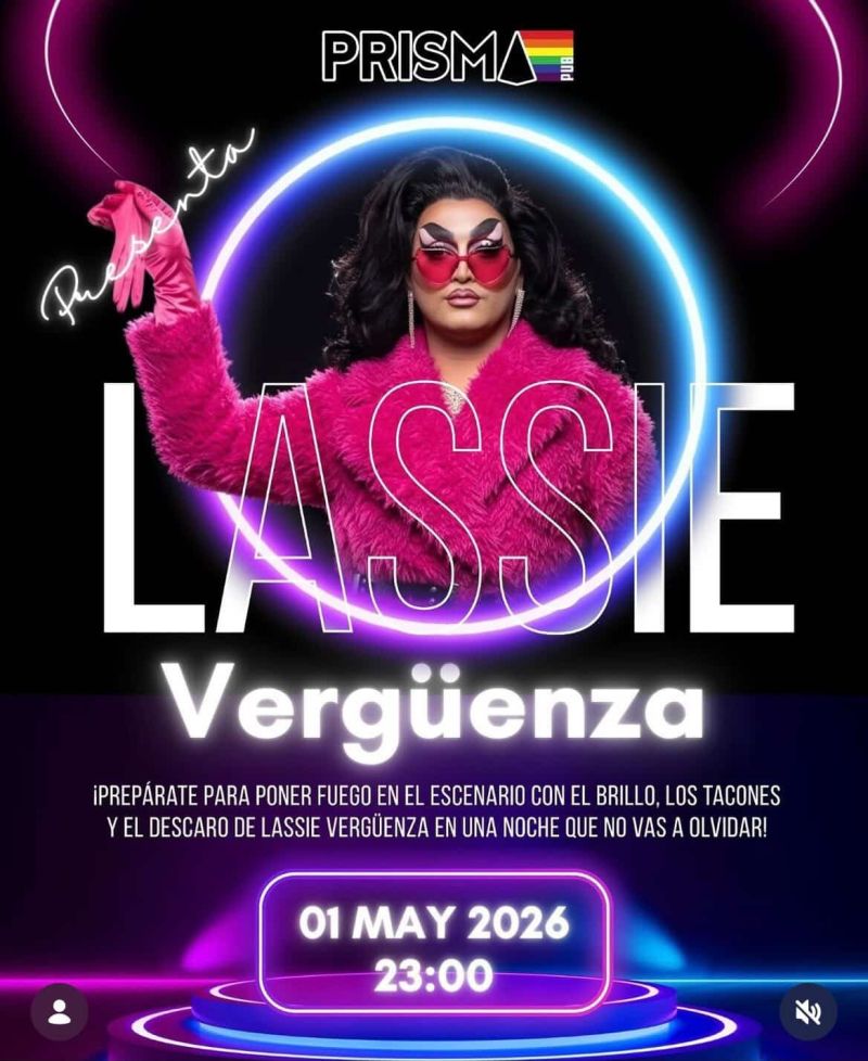 Lassie & Vergüenza – Show / actuación en directo