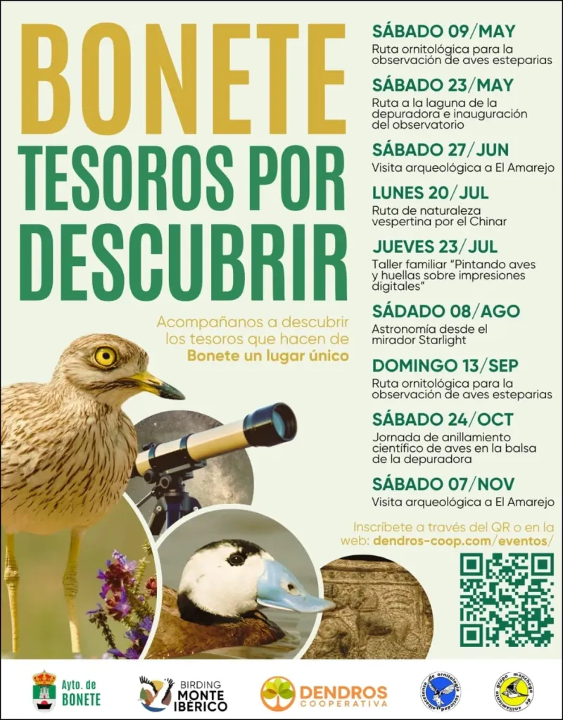 Bonete: Tesoros por Descubrir