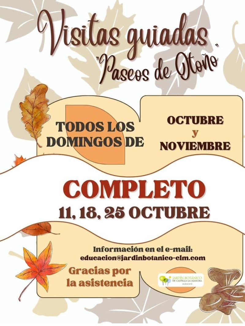 Paseos de Otoño