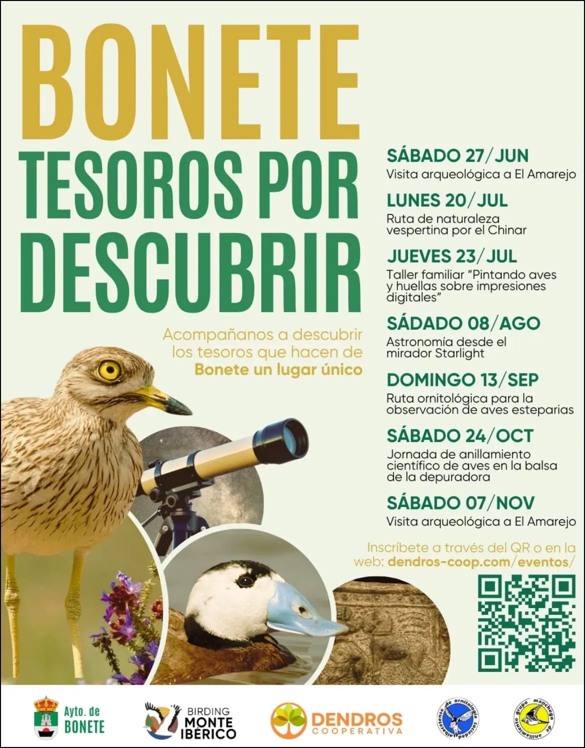 Bonete: Tesoros por Descubrir