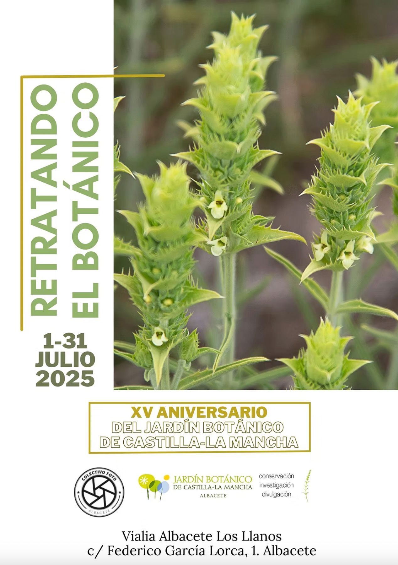 Retratando el botánico