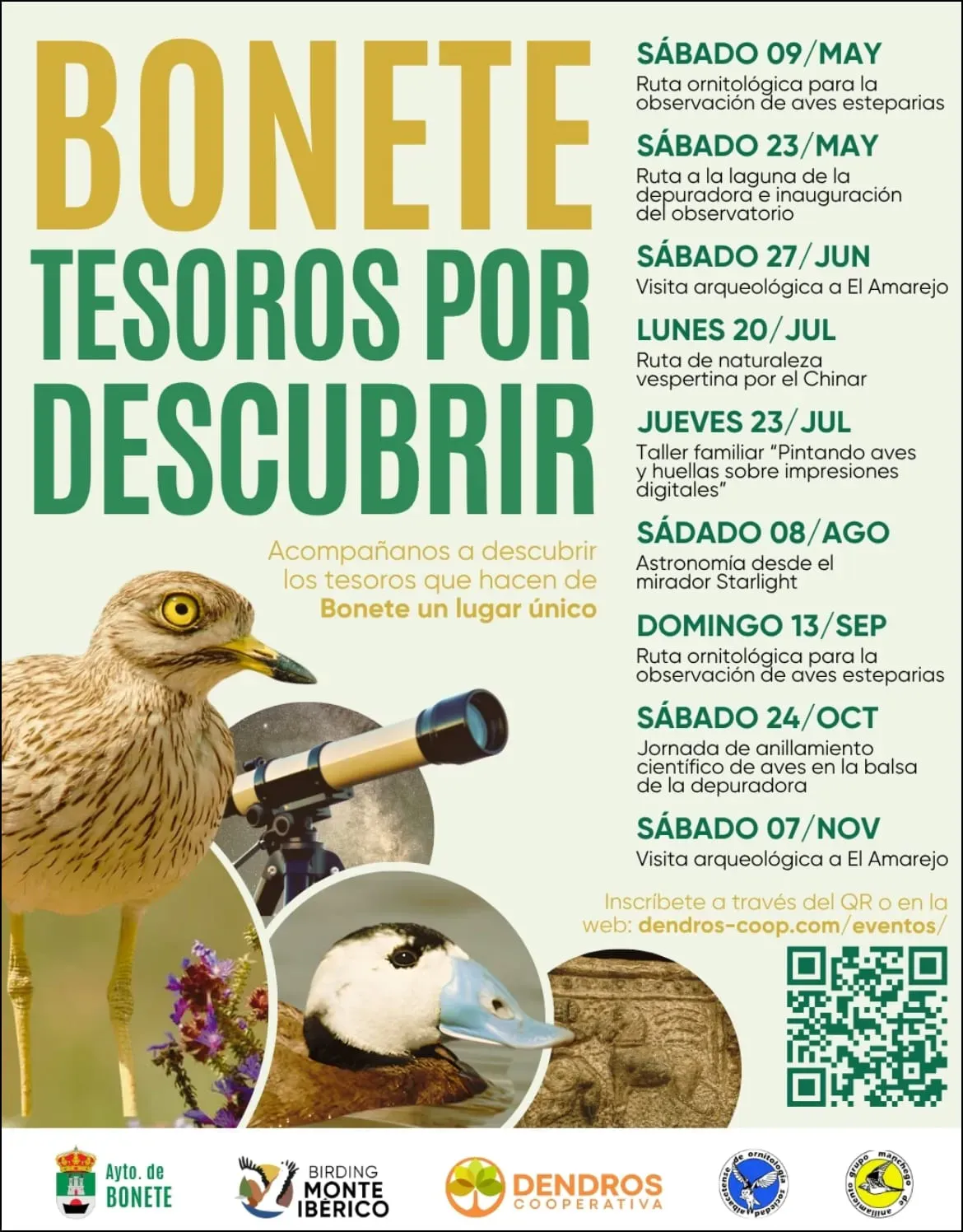 Bonete: Tesoros por Descubrir