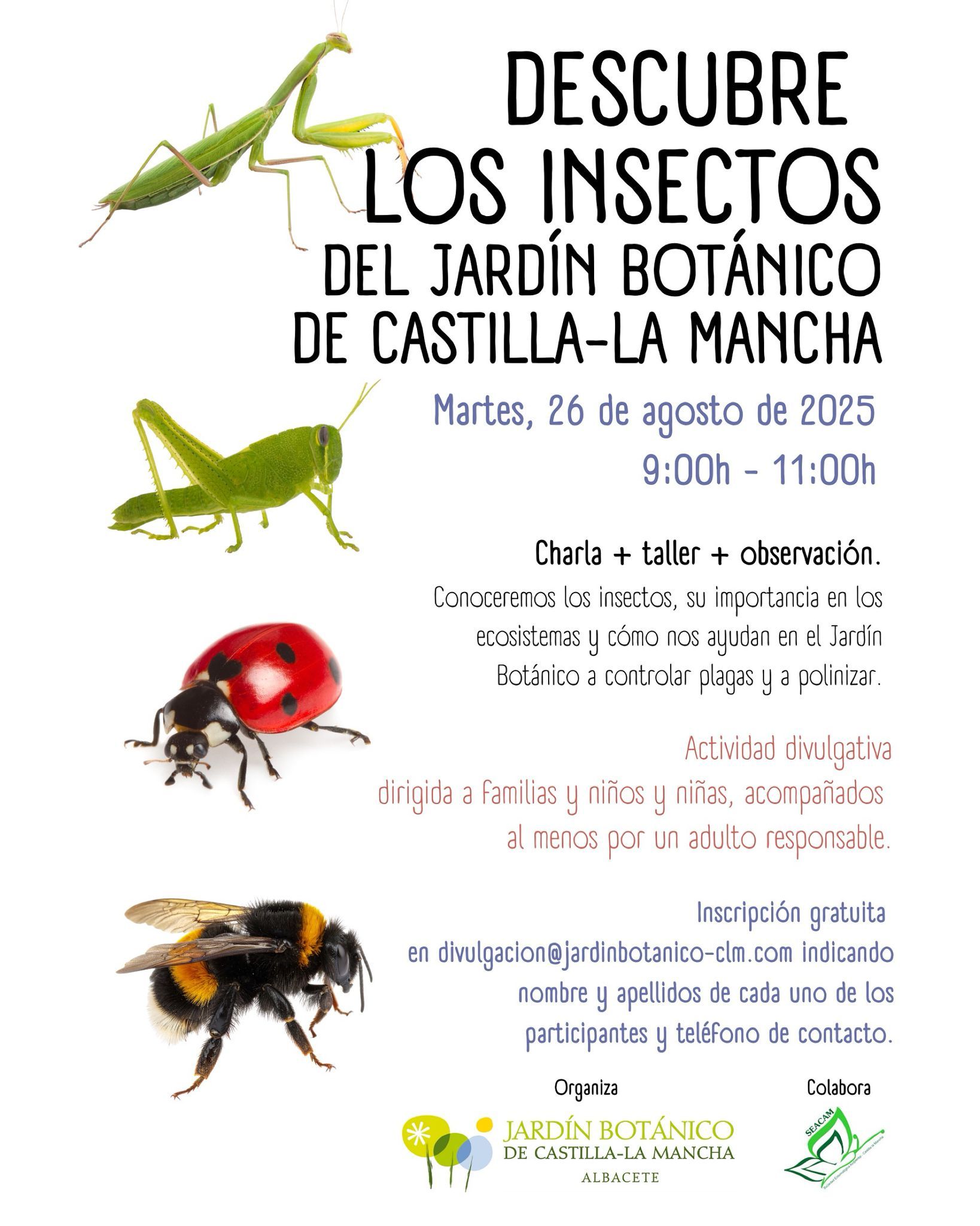 Taller de insectos en el Jardín Botánico