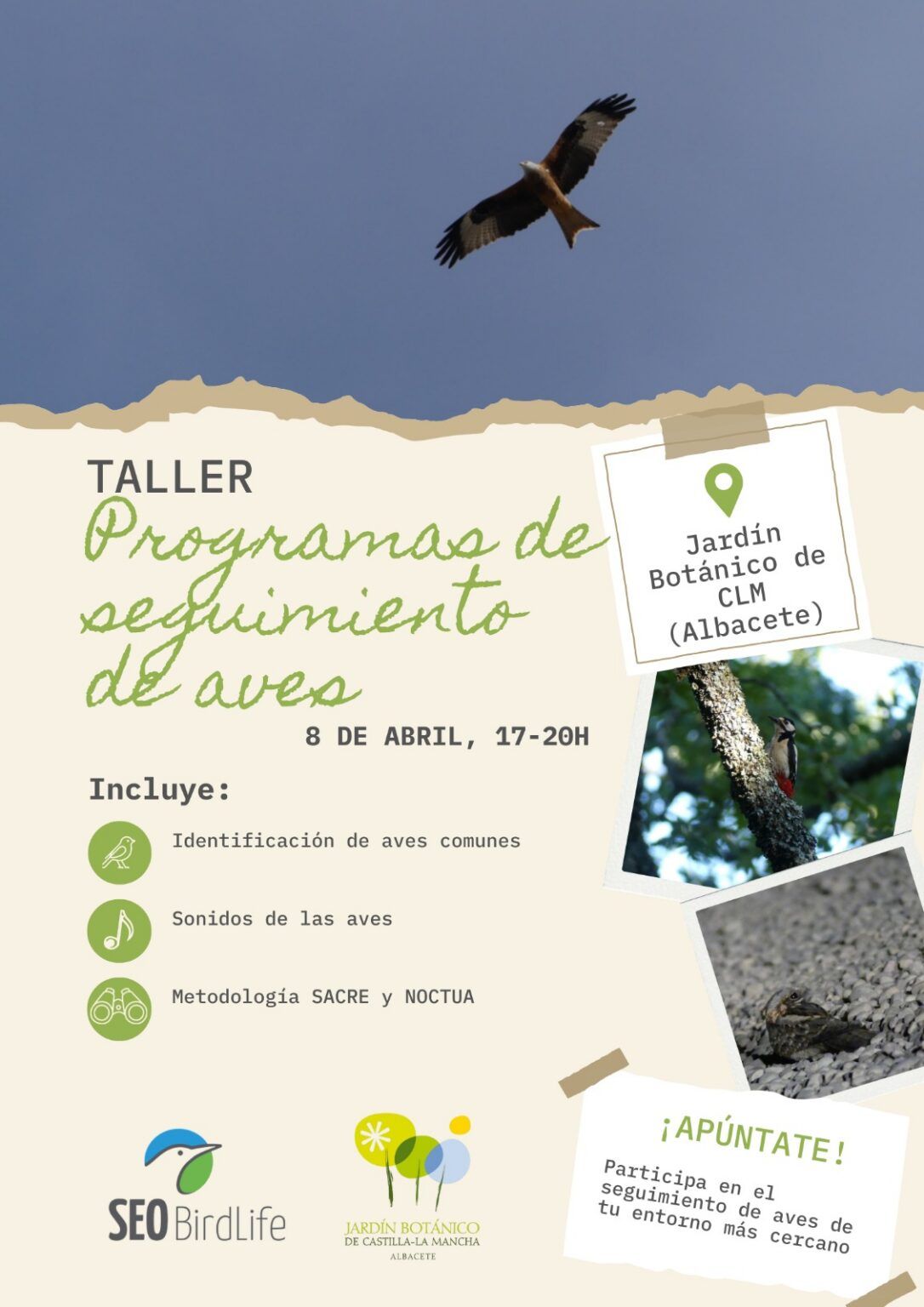 Taller Programas de Seguimiento de Aves