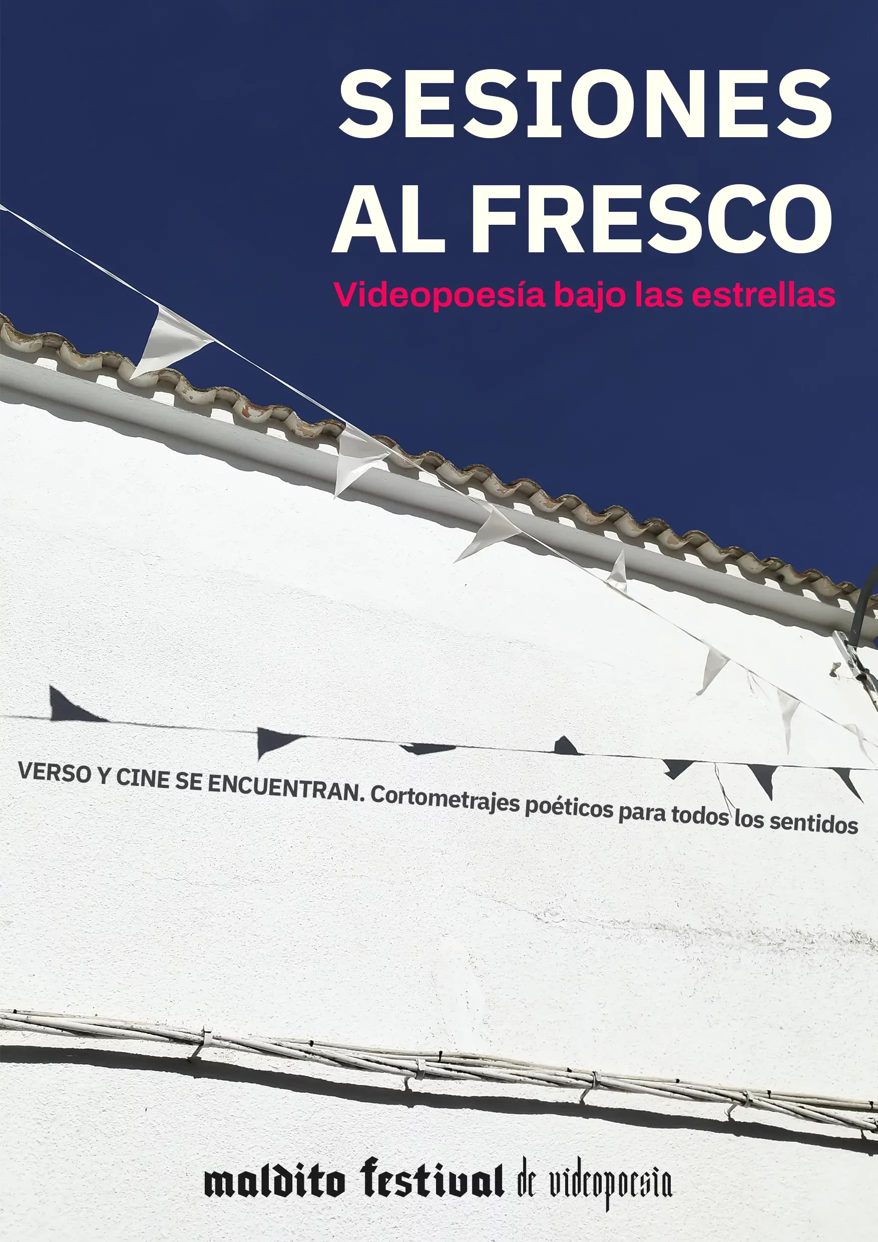 Maldito festival de VideoPoesía
