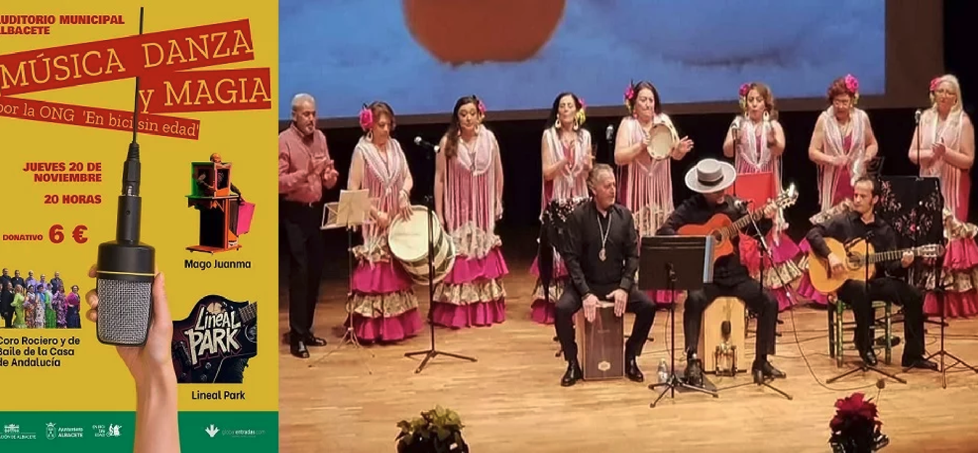 Música y Danza Solidarias