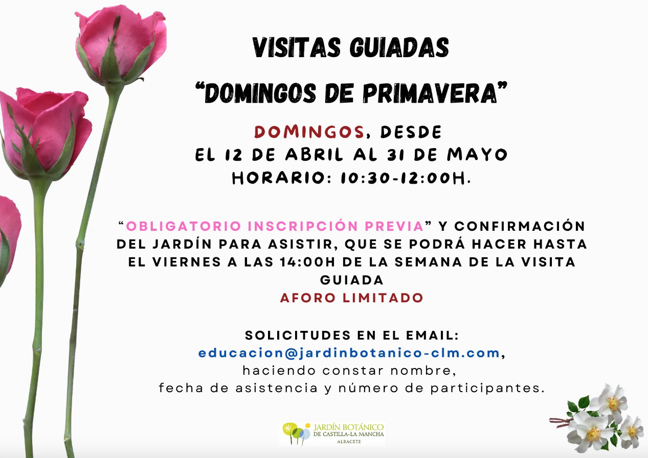 Domingos de Primavera: Visitas guiadas – Albacete