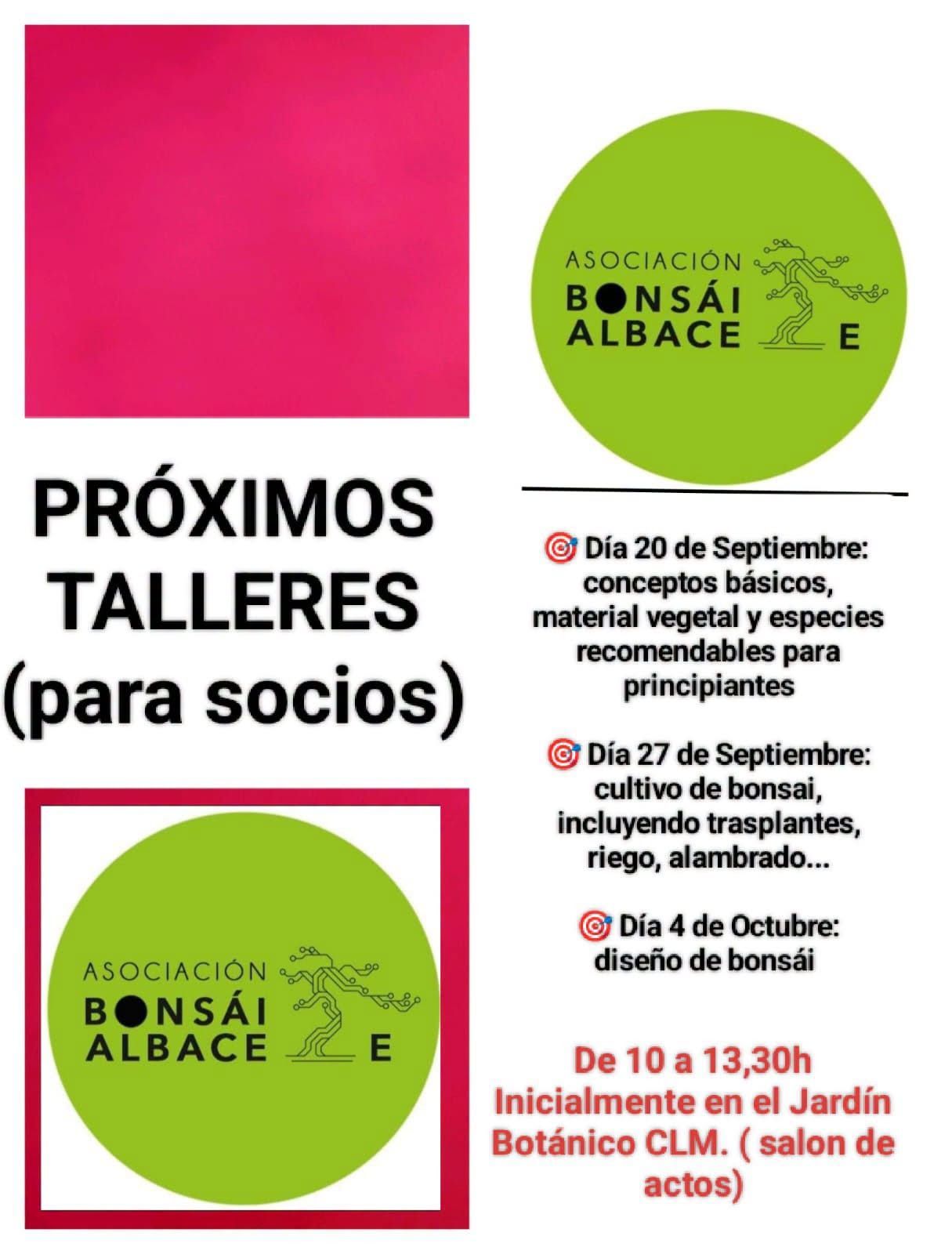 Taller de bonsái — Cultivo de bonsái